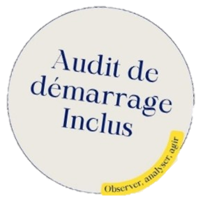 Audit inclu